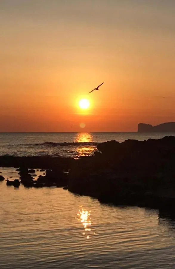 Le Peonie Guest House Alghero
