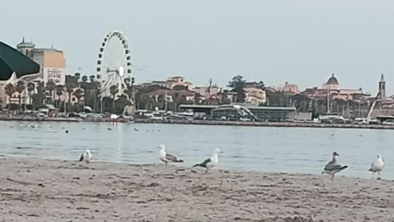 Le Peonie Guest House Αλγκέρο 0*,  Ιταλία